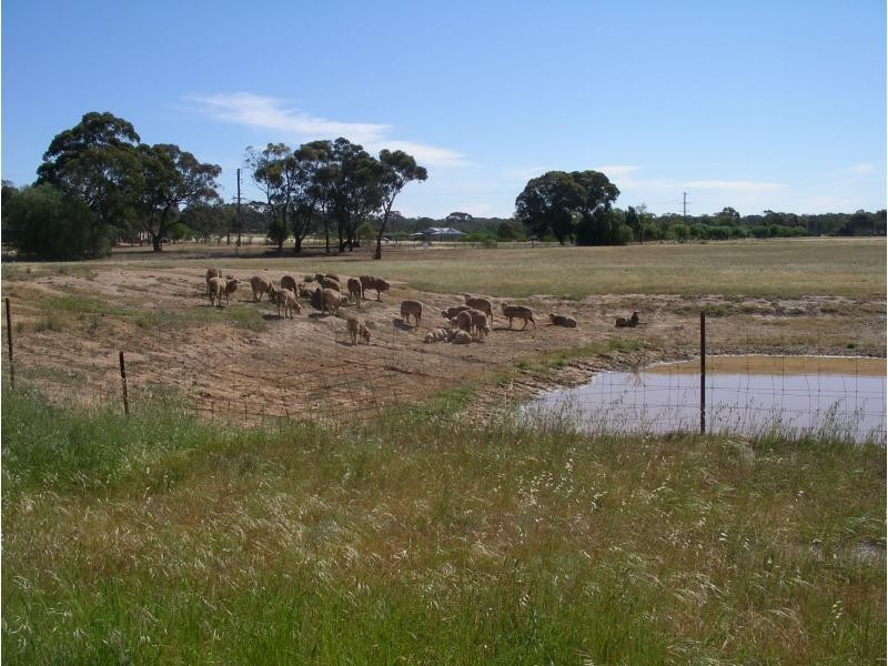 4 Harpers Lane, Wedderburn VIC 3518