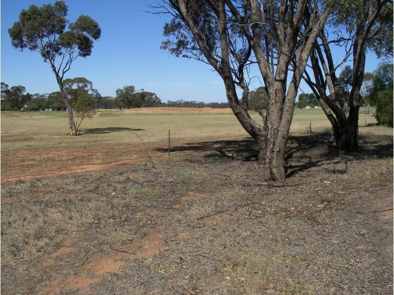 4 Harpers Lane, Wedderburn VIC 3518