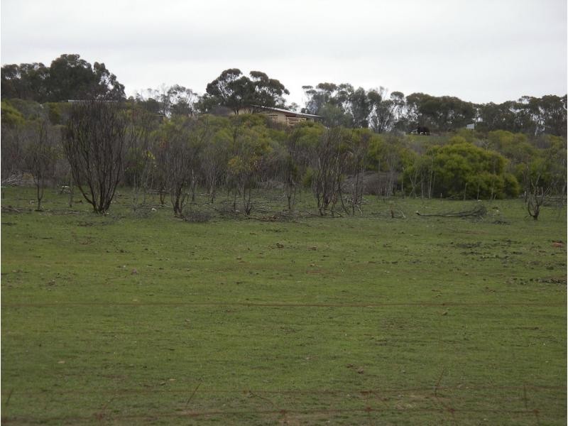 334 Scotts Lane, Wedderburn VIC 3518