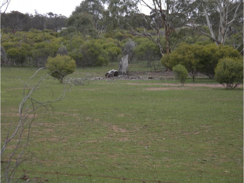334 Scotts Lane, Wedderburn VIC 3518