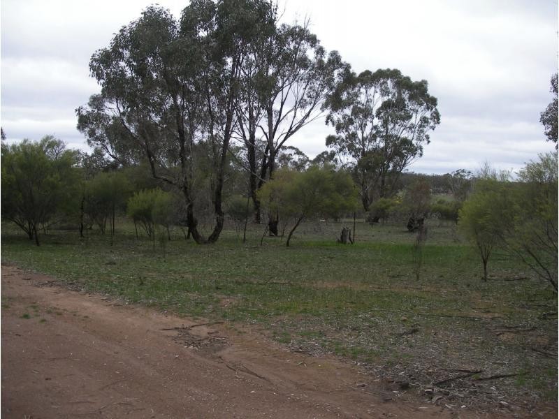 334 Scotts Lane, Wedderburn VIC 3518