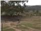 334 Scotts Lane, Wedderburn VIC 3518