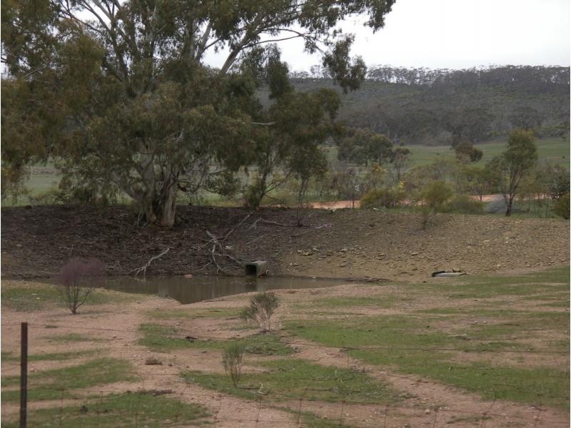 334 Scotts Lane, Wedderburn VIC 3518