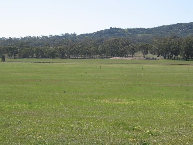 539 Old Boort Road/Wychitella Road Via Wedderburn, Korong Vale VIC 3520