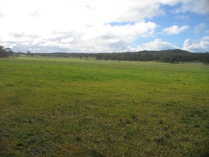 539 Old Boort Road/Wychitella Road Via Wedderburn, Korong Vale VIC 3520