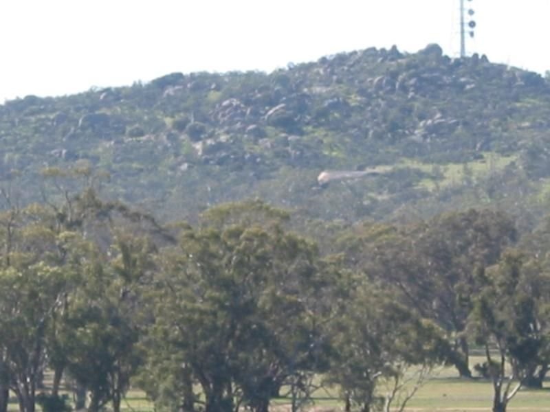 539 Old Boort Road/Wychitella Road Via Wedderburn, Korong Vale VIC 3520