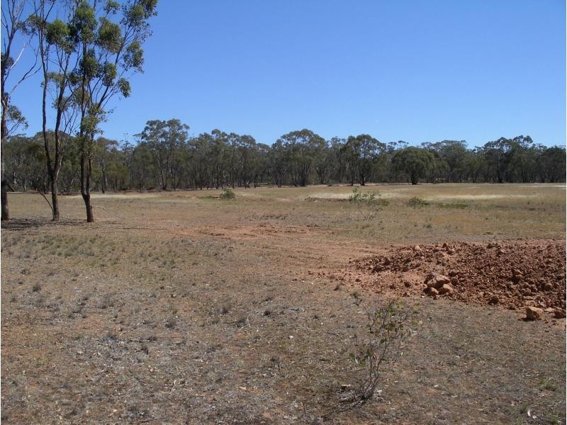 539 Old Boort Road/Wychitella Road Via Wedderburn, Korong Vale VIC 3520