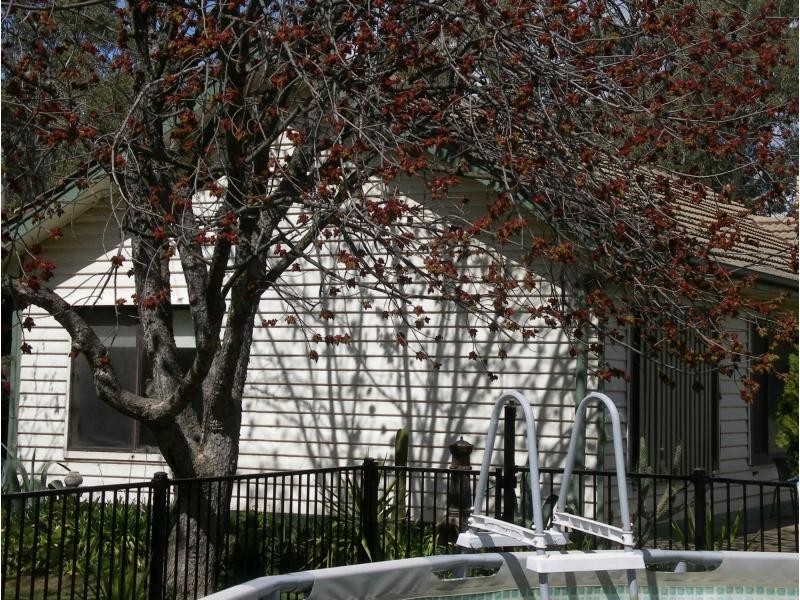 151 High Street, Wedderburn VIC 3518