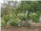 151 High Street, Wedderburn VIC 3518