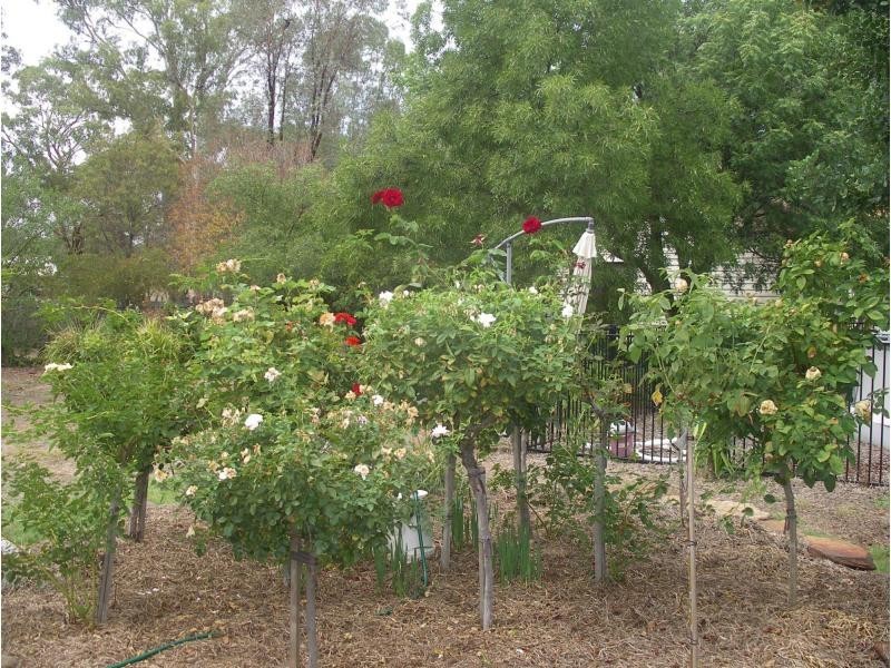 151 High Street, Wedderburn VIC 3518