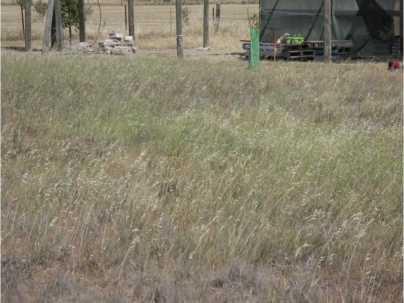 33 Angel Road, Neilborough VIC 3570