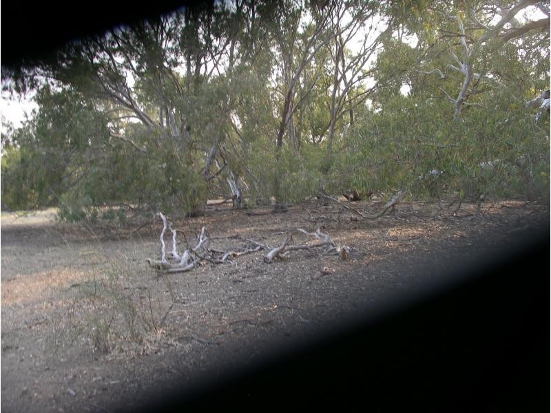 3 Byrnes Road, Durham Ox VIC 3576