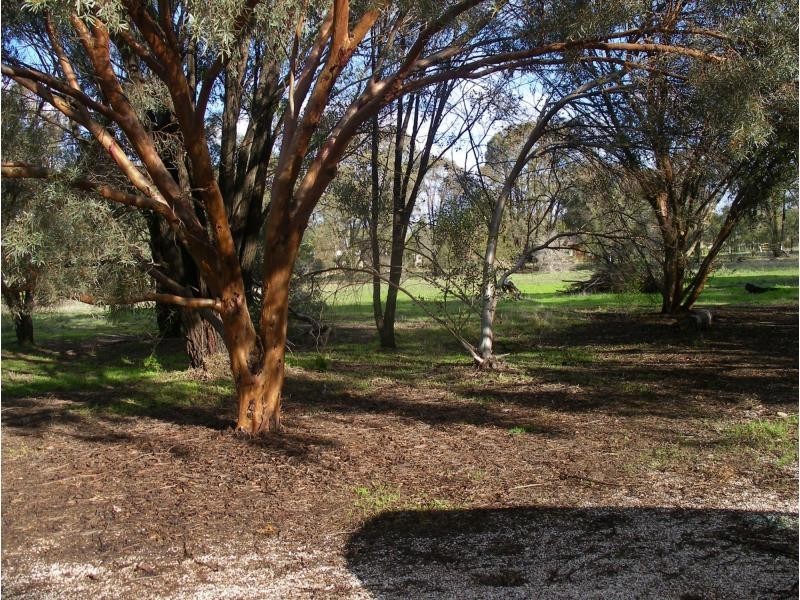 130 Robertson Street, Raywood VIC 3570