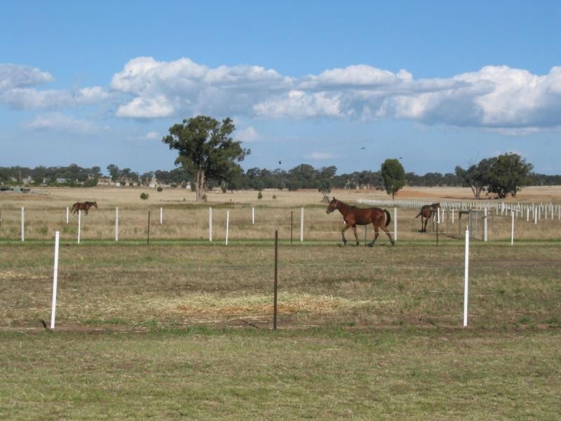 755 Myers Flat Road, Myers Flat VIC 3556