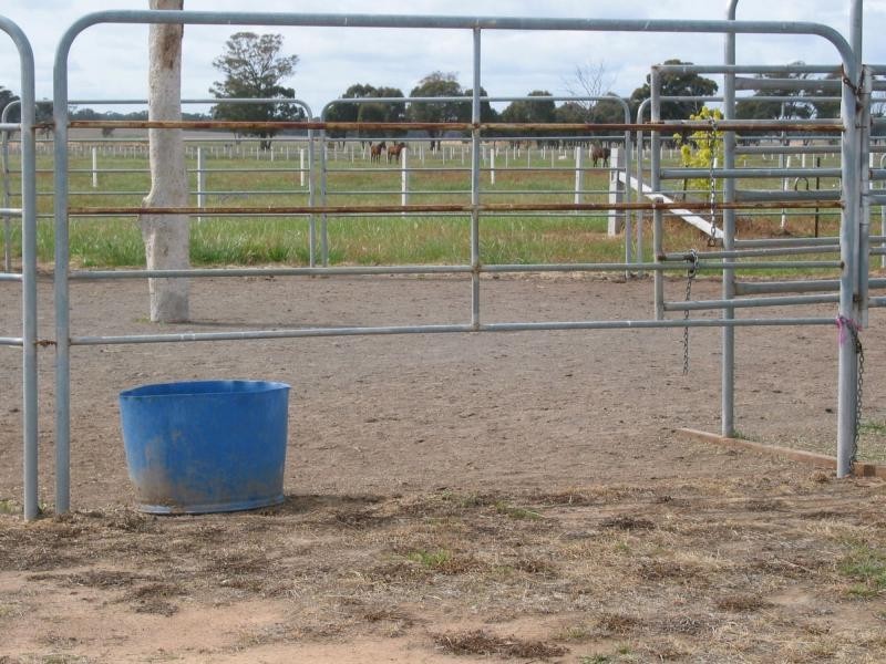 755 Myers Flat Road, Myers Flat VIC 3556