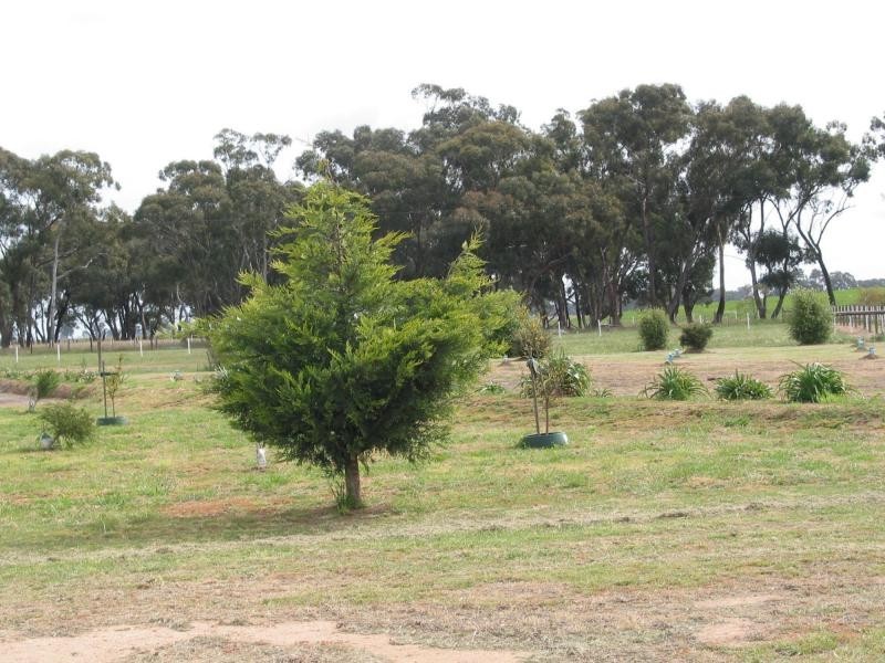 755 Myers Flat Road, Myers Flat VIC 3556