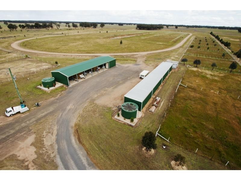 755 Myers Flat Road, Myers Flat VIC 3556