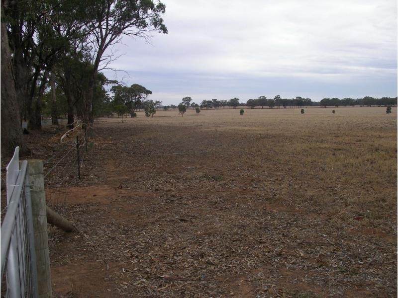 2000 Elmore Raywood Road, Kamarooka VIC 3570