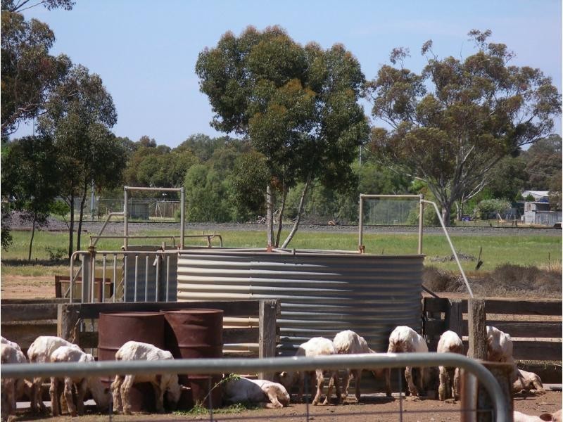 140 Robertson Road, Raywood Vic 3570, Raywood VIC 3570