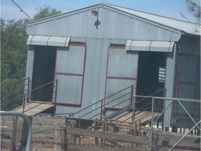 140 Robertson Road, Raywood Vic 3570, Raywood VIC 3570