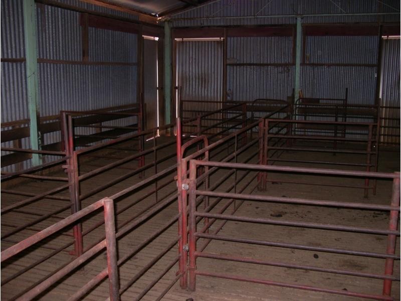 140 Robertson Road, Raywood Vic 3570, Raywood VIC 3570