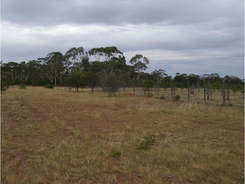 Lot 7 Wheelhouse Road, Wehla VIC 3518