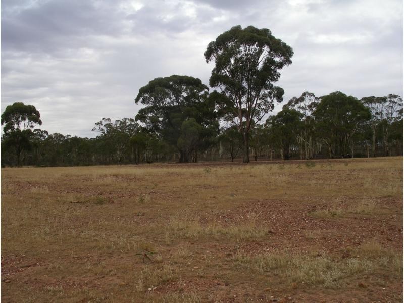 Lot 7 Wheelhouse Road, Wehla VIC 3518