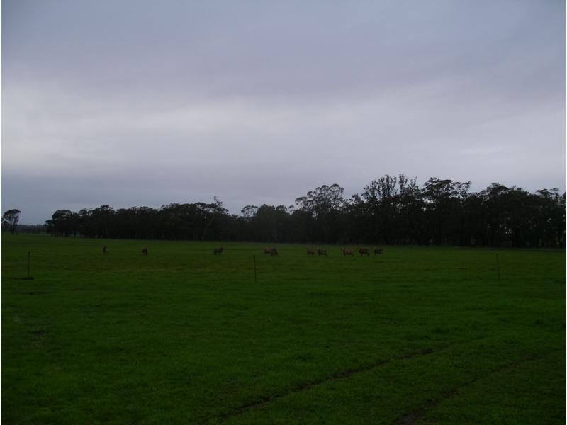 54 Bretts Road, Kurraca VIC 3518