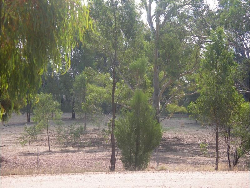 28 Twiggs Lane, Newbridge VIC 3551