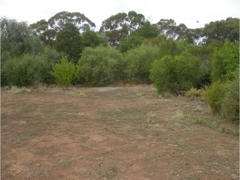28 Twiggs Lane, Newbridge VIC 3551