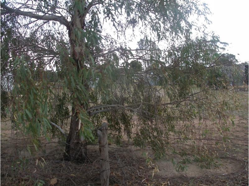 7 Nelson Street, Newbridge VIC 3551