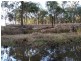 Deuchar QLD 4362