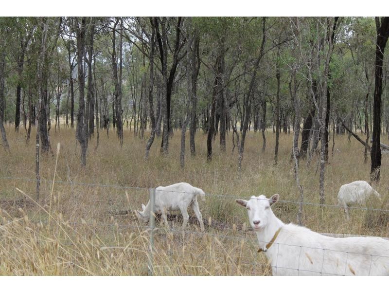 Deuchar QLD 4362