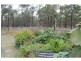 Deuchar QLD 4362