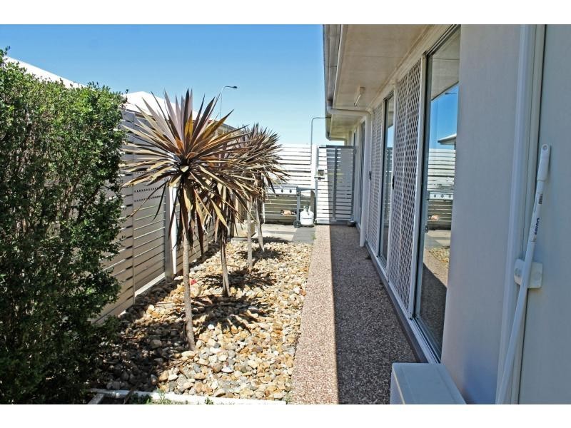 14 Rodeo Drive, Warwick QLD 4370