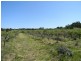 21 Straw House Lane, Dalveen QLD 4374