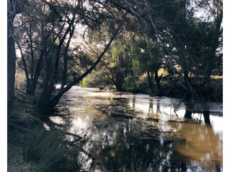 Lot 28 Morgan Park Road, Warwick QLD 4370