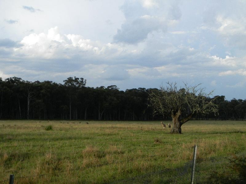 57 Siviter Road, Stanthorpe QLD 4380