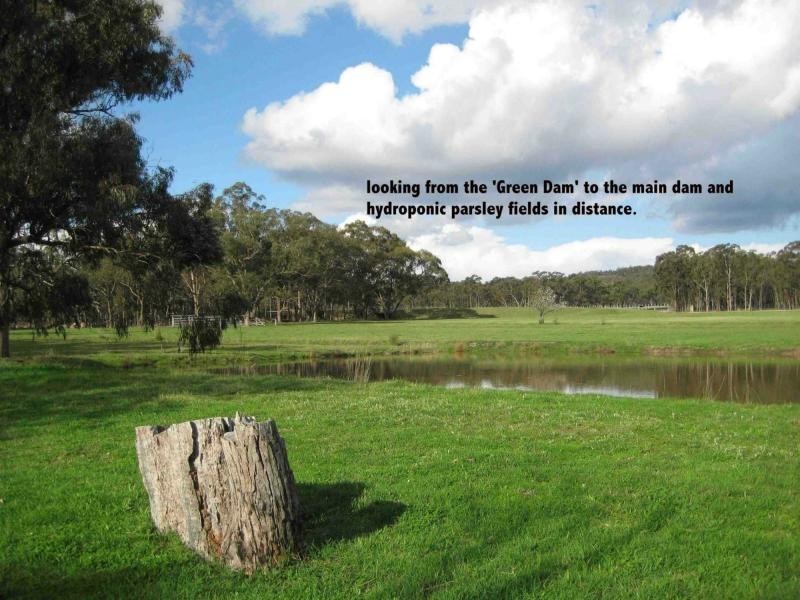 Stanthorpe QLD 4380