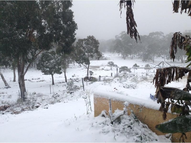 298 Marinis Road, Stanthorpe QLD 4380