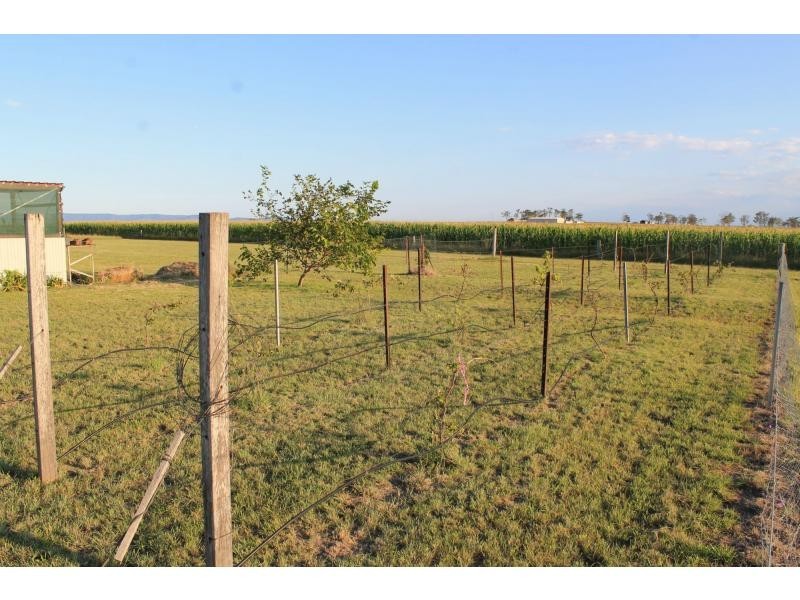 37 Hoffmans Road, Warwick QLD 4370