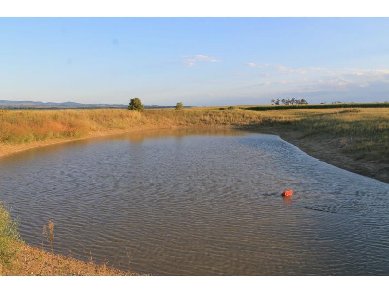 37 Hoffmans Road, Warwick QLD 4370