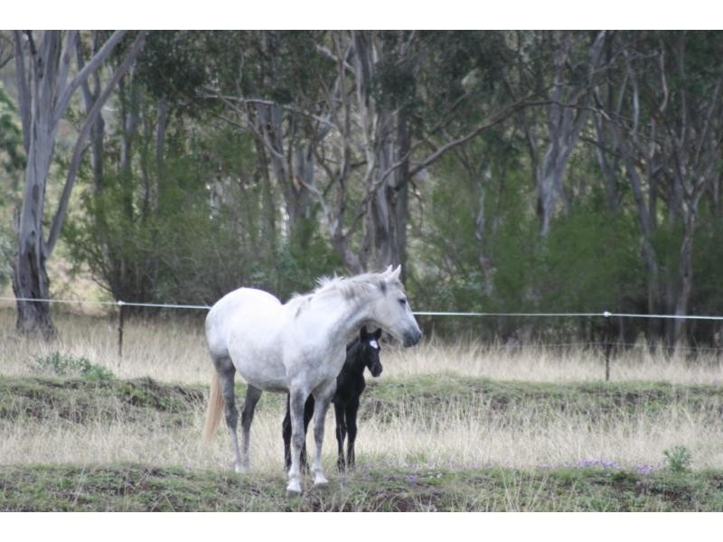 L2 Judges Road, Swanfels QLD 4371