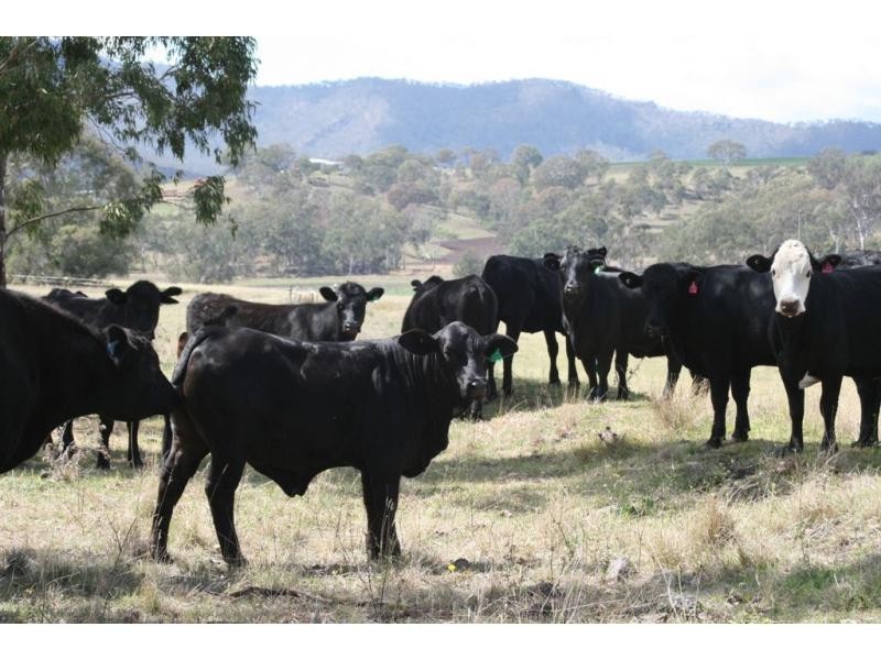 L2 Judges Road, Swanfels QLD 4371