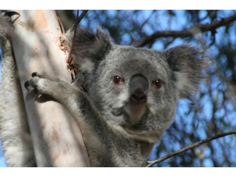 L2 Judges Road, Swanfels QLD 4371