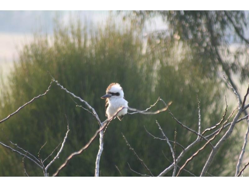 L2 Judges Road, Swanfels QLD 4371