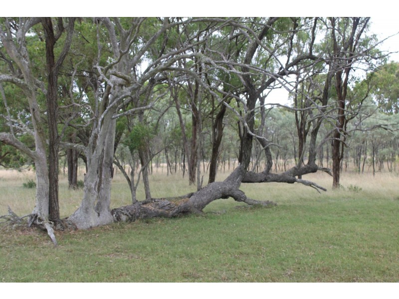 1803 Cullendore Road, Elbow Valley QLD 4370