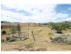 1290 Freestone Road, Freestone QLD 4370