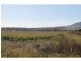 L1 Tuckers Road, Danderoo QLD 4370