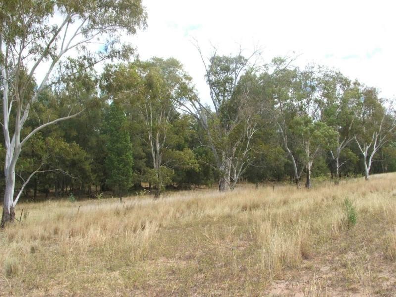 L1 Luna Road, Oman Ama QLD 4352